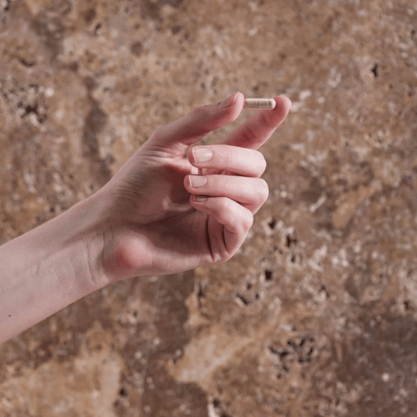 Herbs of Gold Ginkgo Biloba 6000 / 60 Capsules