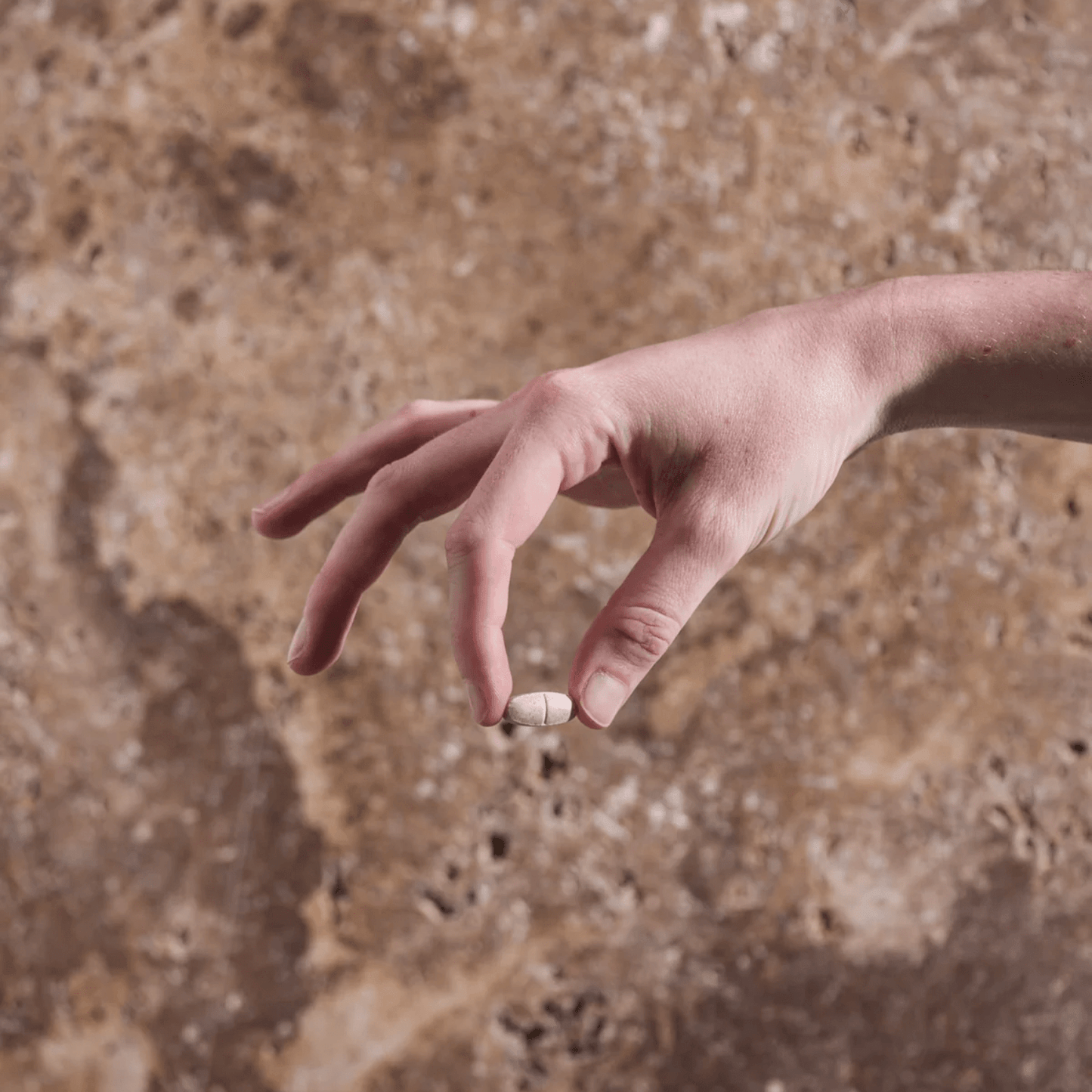 Herbs of Gold Menopause Relief 60 Tablets - BeeVitamins