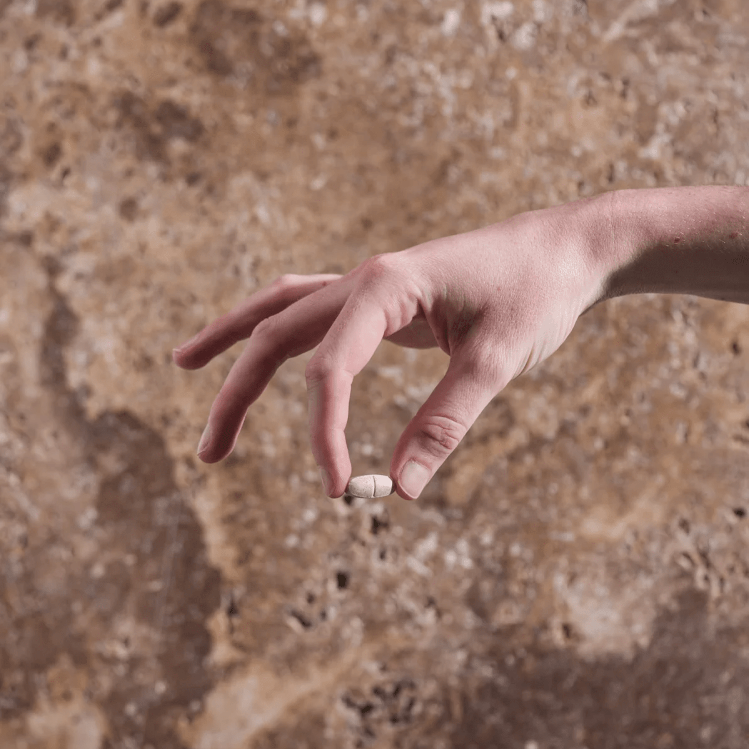 Herbs of Gold Menopause Relief 60 Tablets - BeeVitamins