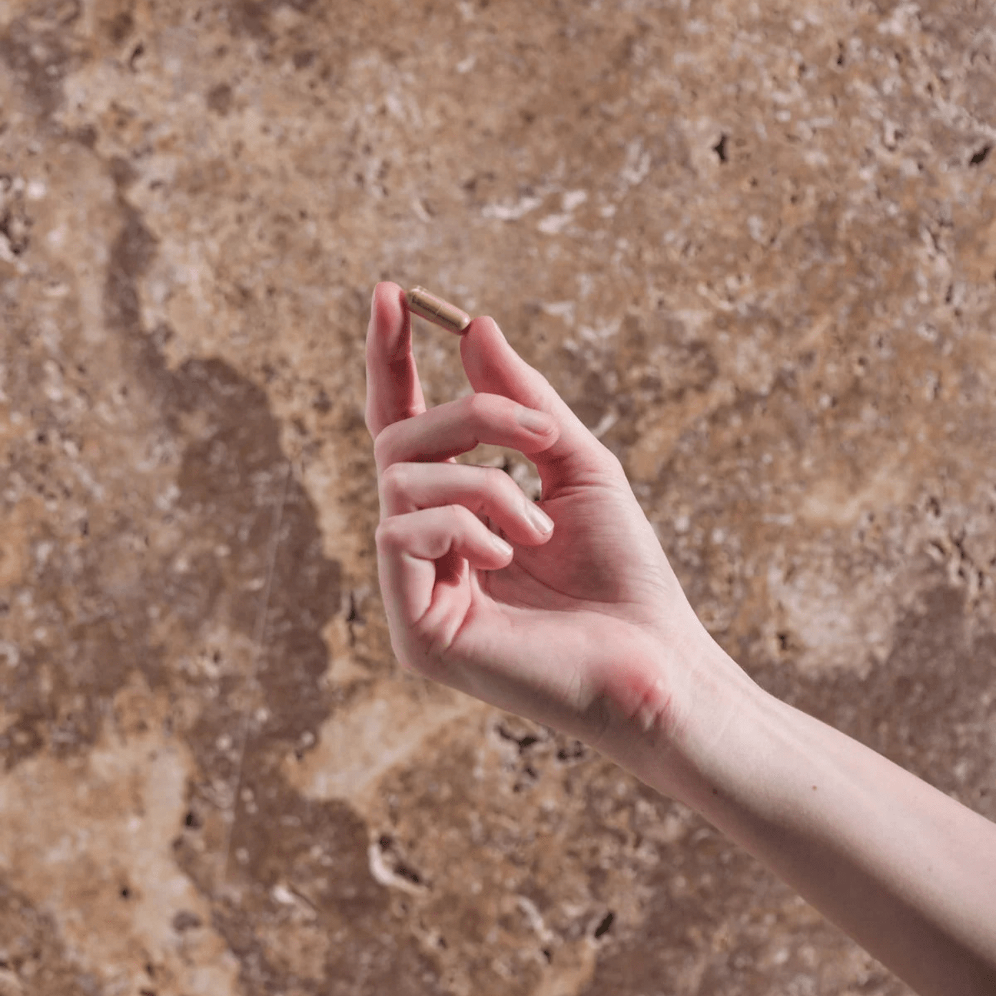 Herbs of Gold Sleep Ease 60 Capsules - BeeVitamins