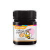 Spring Leaf Kids Manuka Honey MGO 250+ 250g - BeeVitamins