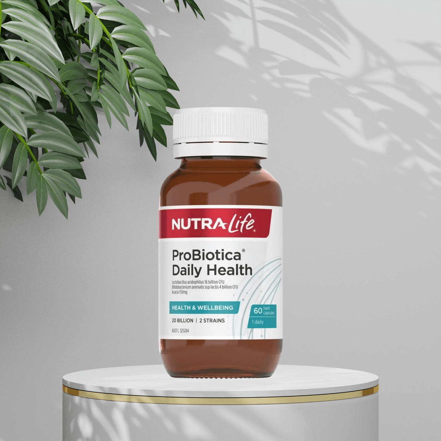 NutraLife Probiotica Daily Health 60 Capsules - BeeVitamins