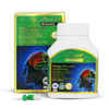 Vitatree Ginkgo Plus 6000 with Q10 50mg 60 Capsules