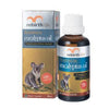 Rebirth Platinum Eucalyptus Oil 50ML - BeeVitamins