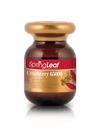Spring Leaf Cranberry 65000 30 Capsules - BeeVitamins