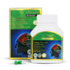 Vitatree Ginkgo Plus 6000 with Q10 50mg 60 Capsules - BeeVitamins